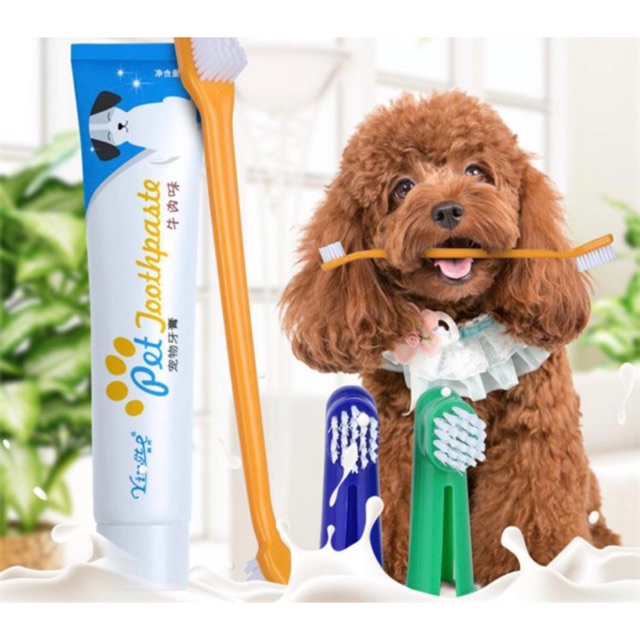 Kem đánh răng cho chó mèo cao cấp- Cookie Pethouse