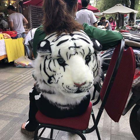 Balo đầu hổ-Balo đi phượt