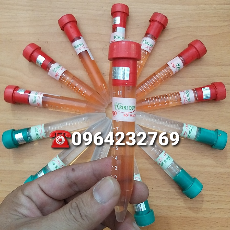 Kei Duy Đỏ - Kích Kei Hoa Lan Keiki Duy Pro