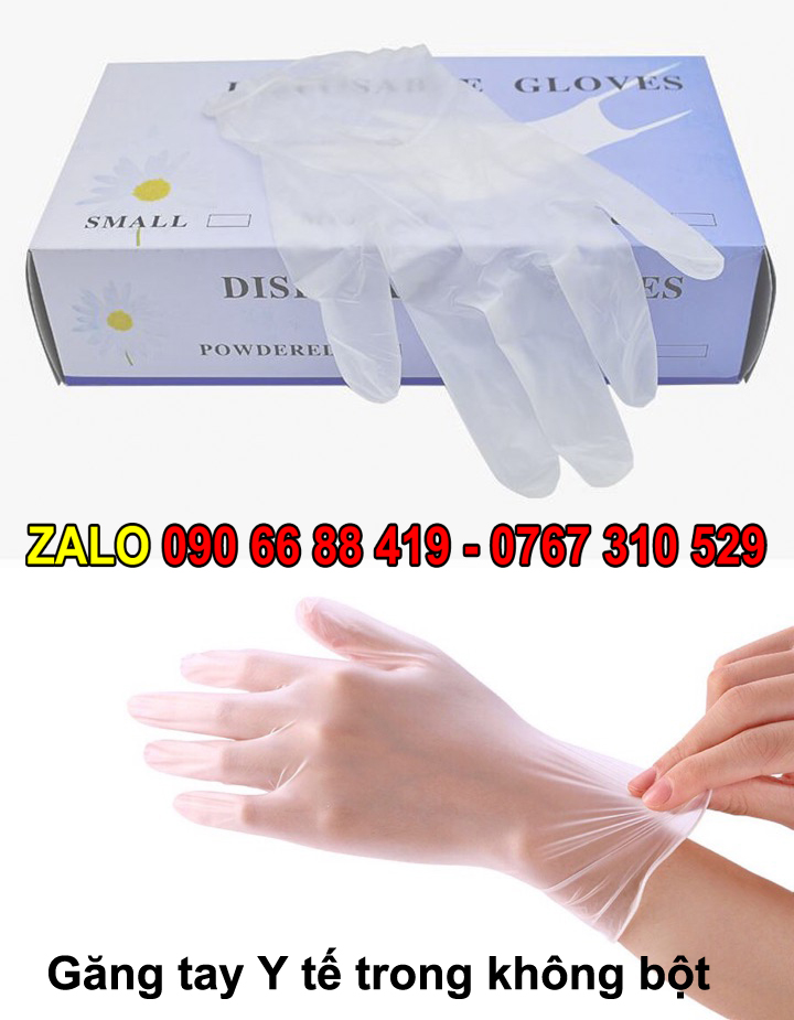Găng tay Y tế trong không bột Disposable Gloves - Bao tay y tế trong không bột - Găng tay y tế Disposable Gloves không bột trong suốt siêu dai phun xăm Spa