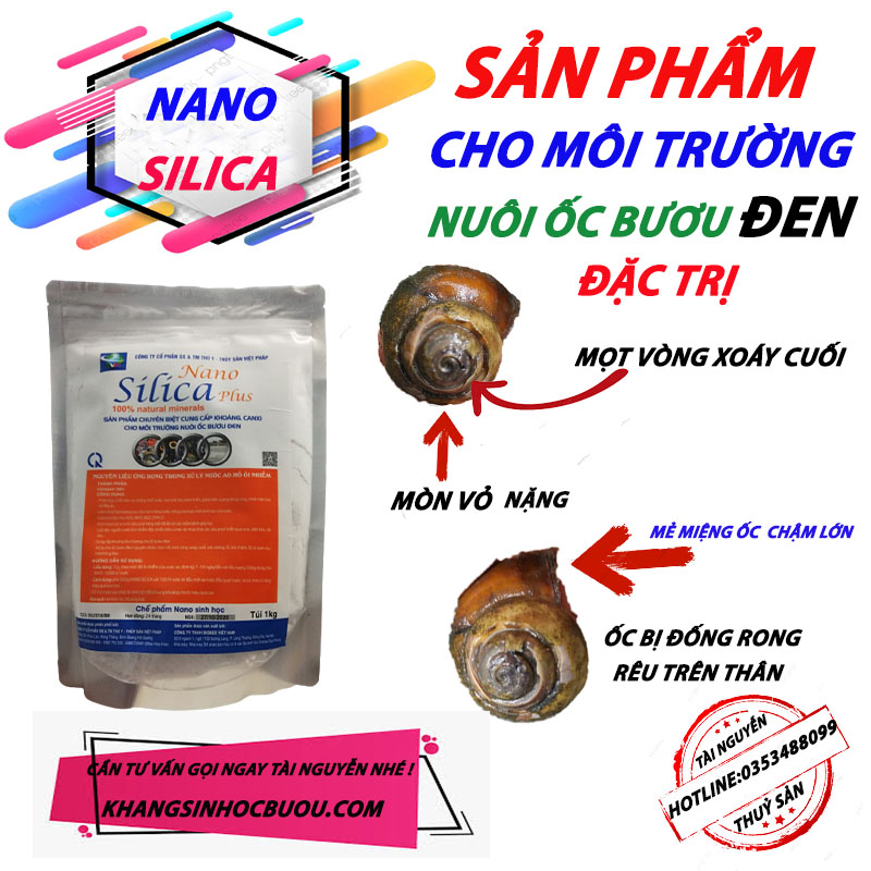 NANO SILICA PLUS  KHẮC PHỤC MÒN VỎ.MẼ MIỆNG. MỌT VÒNG XOÁY CUỐI Ở ỐC  BƯƠU ĐEN ,ỐC NHỒI) NANOSILICA  LÀM SẠCH NGUỒN NƯỚC XỬ LÝ BÙN ĐÁY AO HIỆU QUẢ CAO