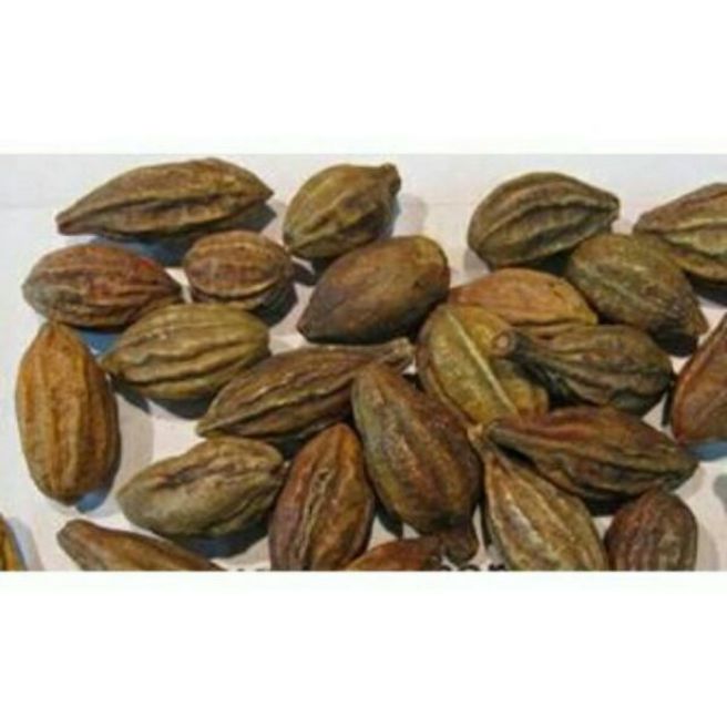 Sỉ toàn quốc 500g quả kha tử