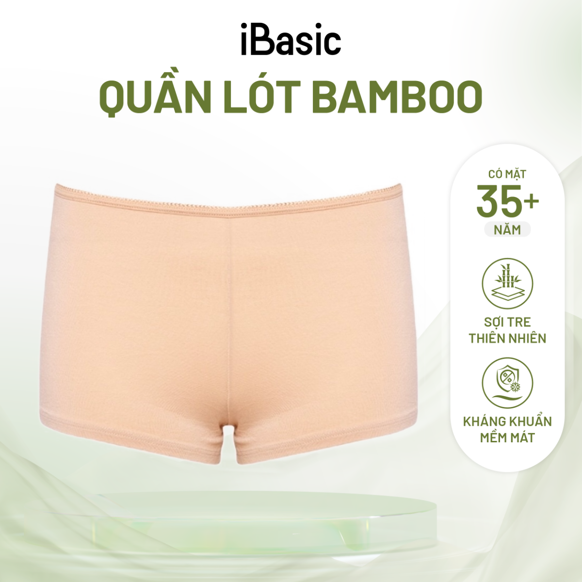  Quần lót nữ iBasic bamboo kháng khuẩn trơn mặc váy V107 