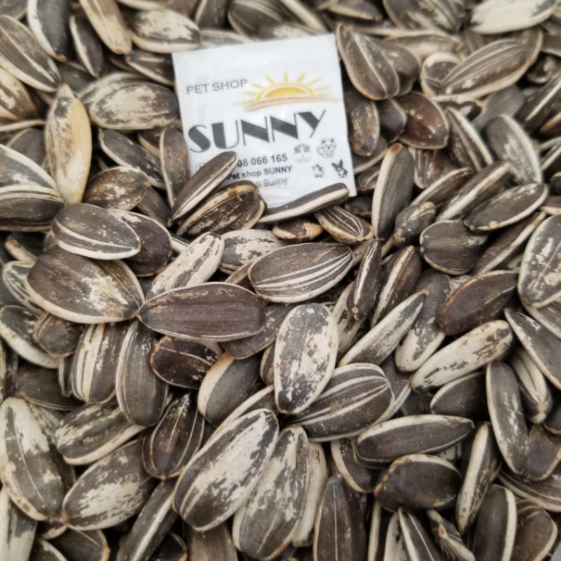 100g hướng dương cho hamster, sóc, vẹt