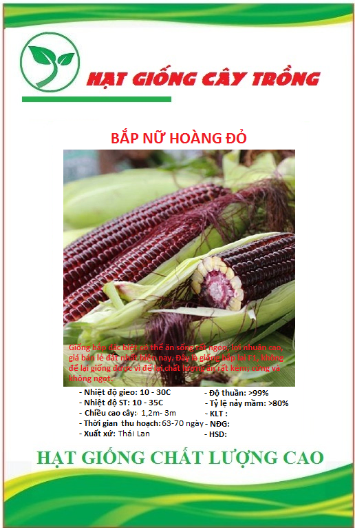 Hạt giống ngô nữ hoàng đỏ f1 - gói 30 hạt