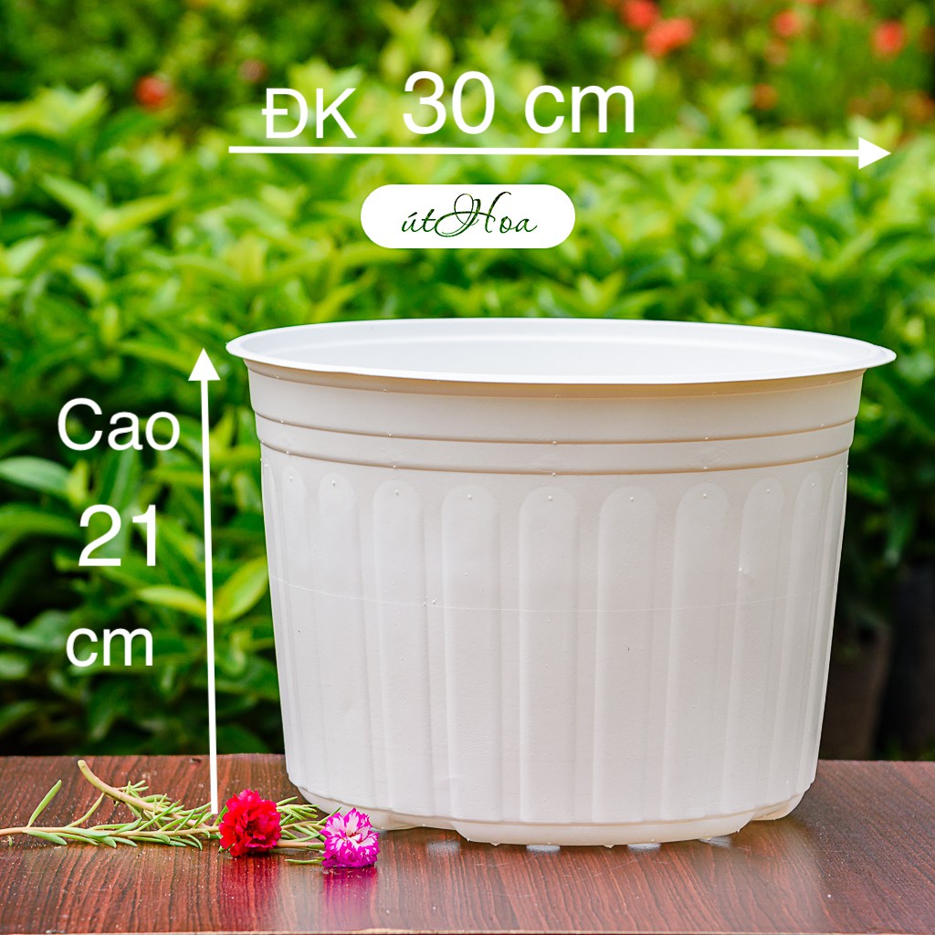 Chậu nhựa trắng t30 có sọc đẹp, dày dặn