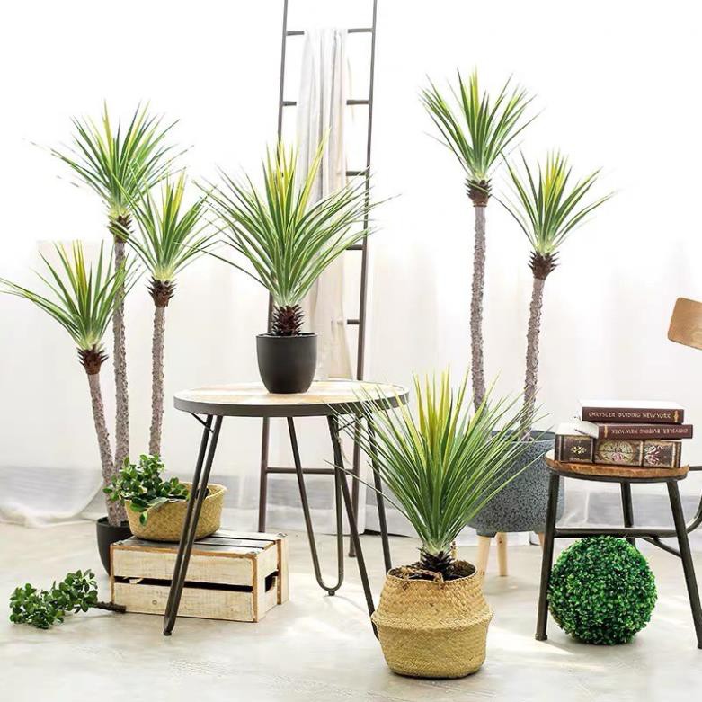 Cây giả Decor trang trí - Cây phát tài núi