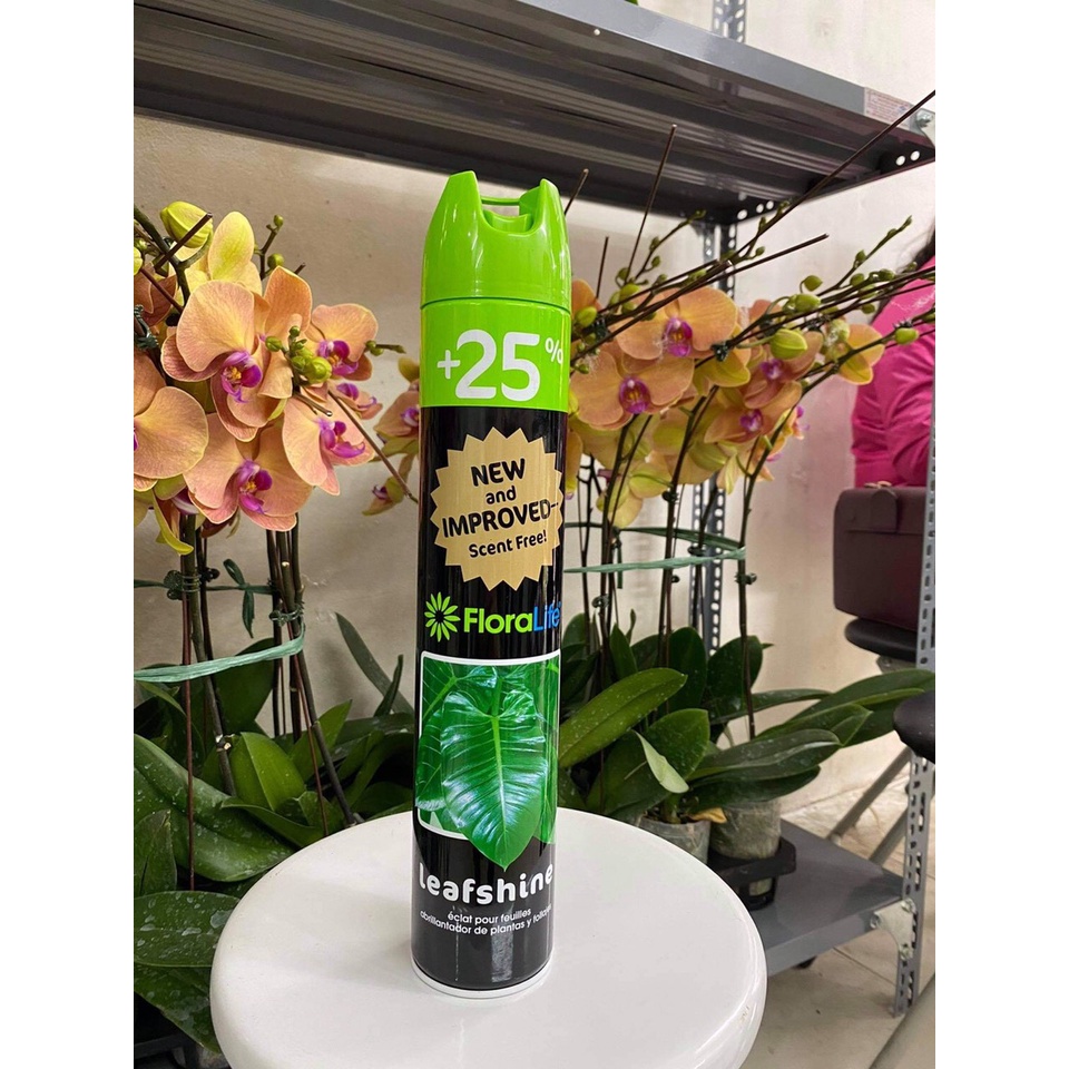 Bóng Lá Floralife Leafshine từ Mỹ - Bình xịt bóng lá 750ml hàng chính hãng