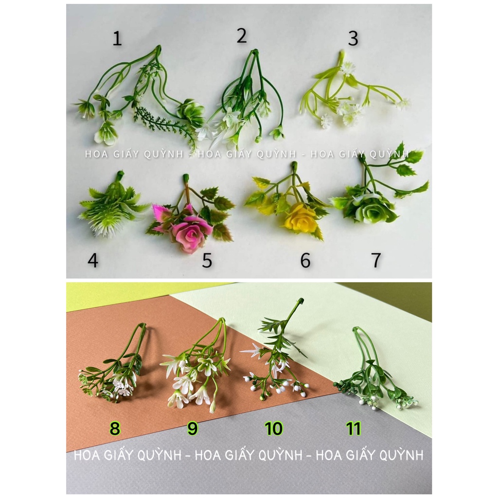 100gr hoa cỏ điểm trang trí - phần 2