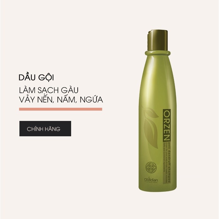 Dầu gội làm sạch gàu vảy nến orzen - Orzen anti- dandruff shampoo