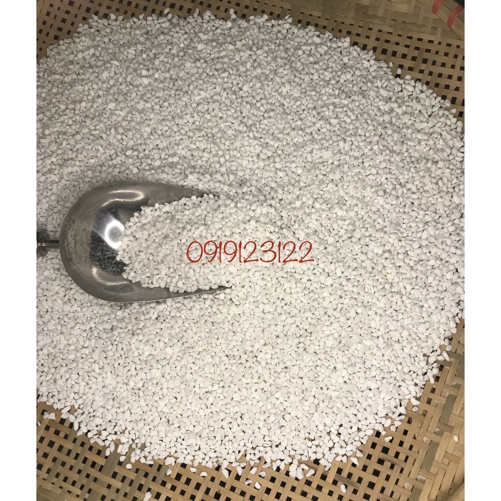 1kg đá perlite đủ size