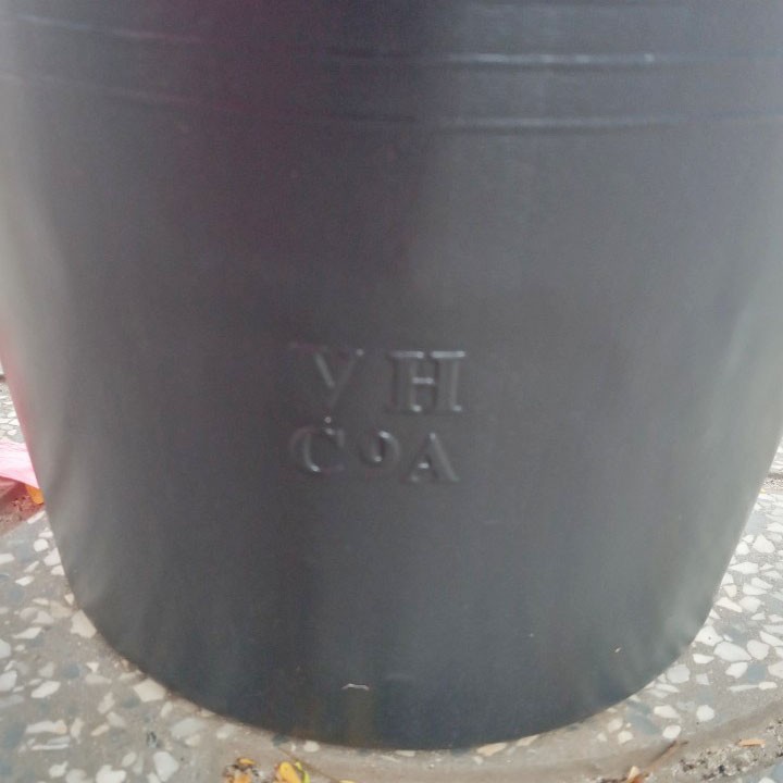 UhRrCBZB7HIWdhO2n54i_simg_d0daf0_800x1200_max.jpg