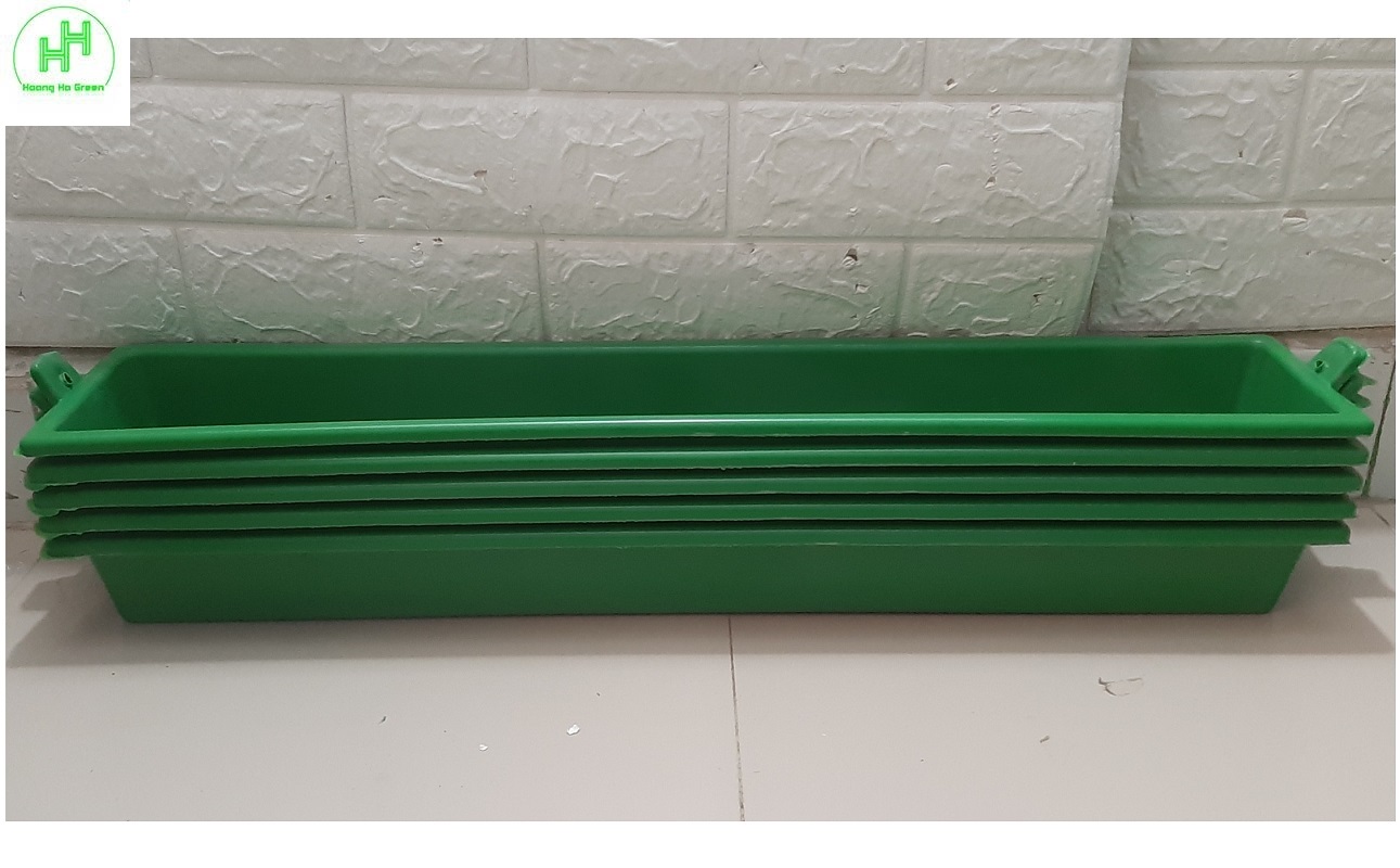 5 Máng/Khay Ăn, Uống, Phụ Kiện Nuôi Gà, Chim, Chim Cút Kích Thước 65x12.5x7Cm