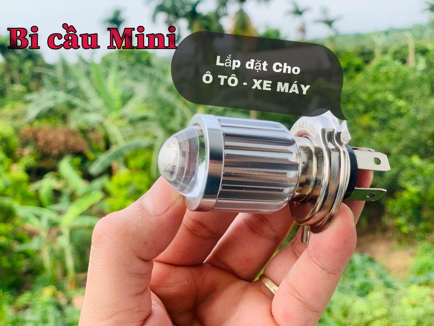 Đèn pha bi cầu mini loại xịn cos vàng pha trắng nắp ô tô , xe máy - chân h4 ánh sáng trắng cắt