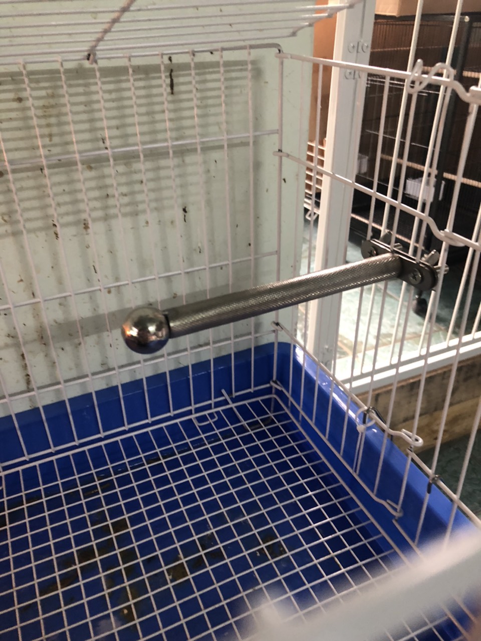 Cầu mài móng inox cho các dòng vẹt