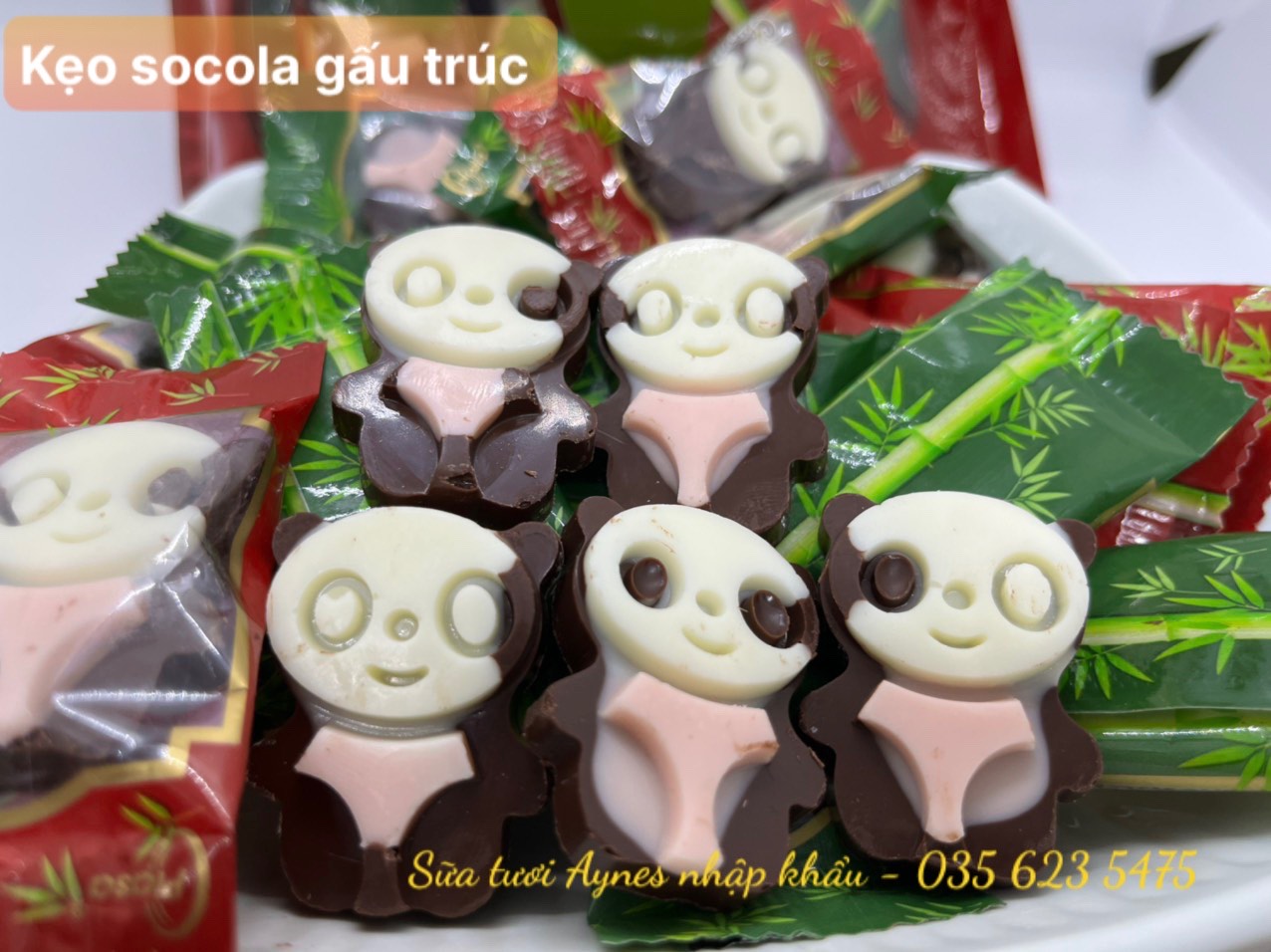 Socola gấu trúc 320g - vị cacao sữa - 69k