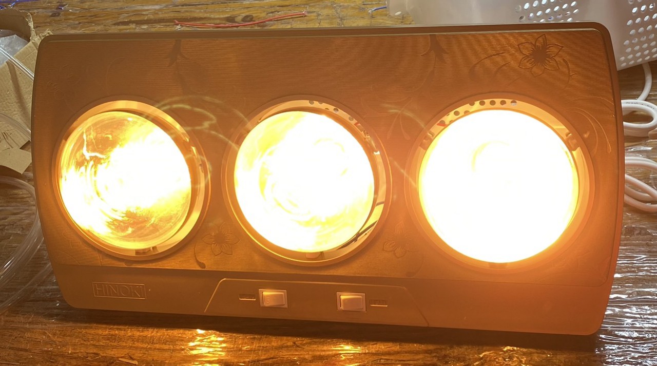 Đèn sưởi nhà tắm 2 - 3 bóng hinoki