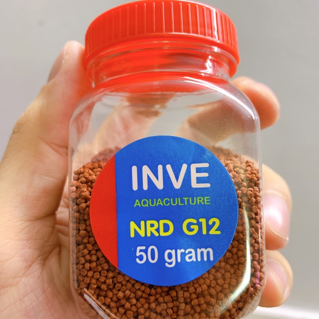 Cám thái inve g12