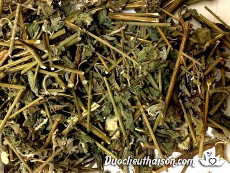 1kg lá hà thủ ô