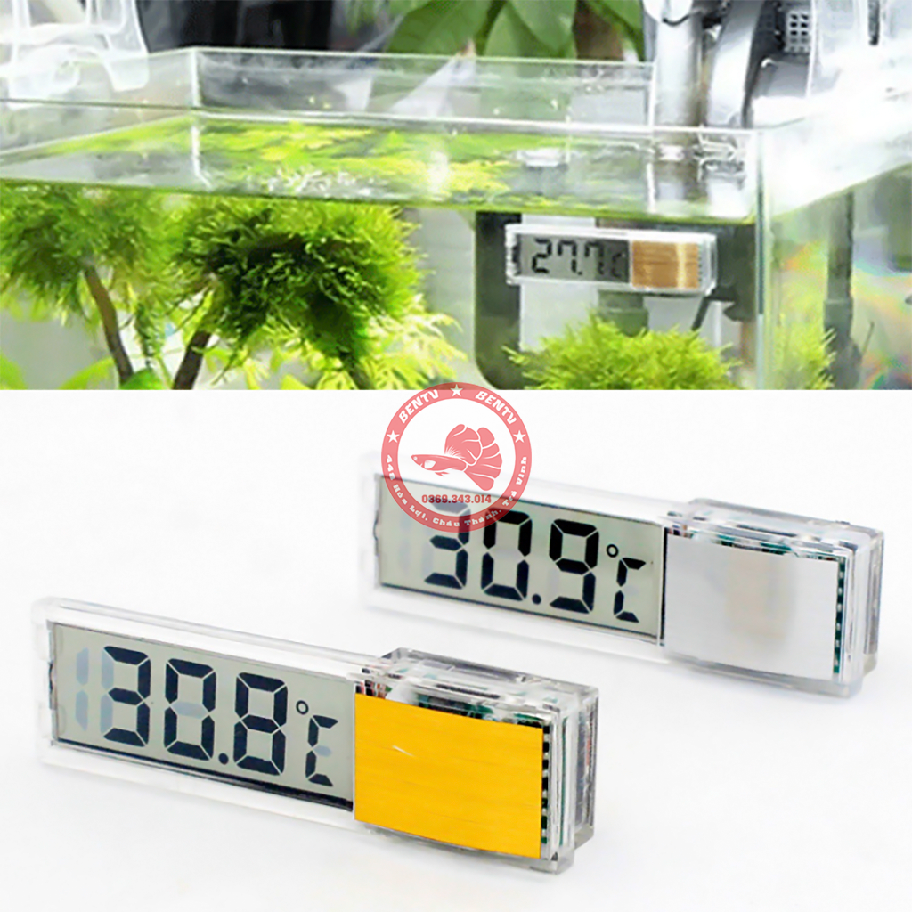 Nhiệt kế điện tử - dán ngoài bể cá cảnh