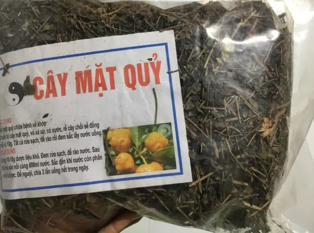 Cây mặt quỷ phơi khô 1kg