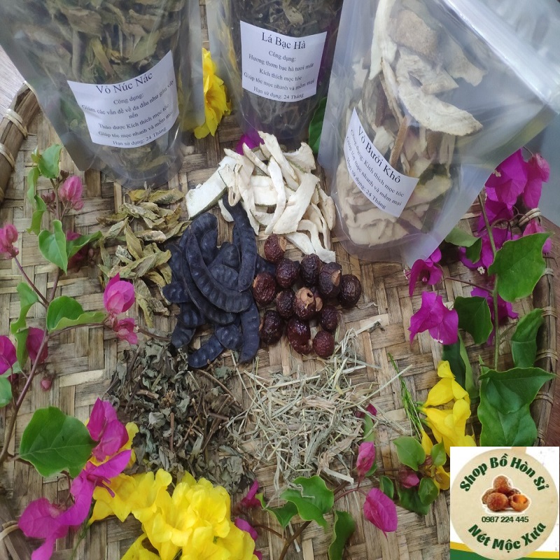 Combo gội đầu bột bồ kết bột bồ hòn hương nhu mần trầu bạc hà vỏ bưởi núc nác hà thủ ô mix túi lọc