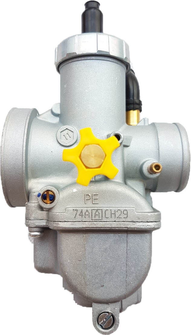 [HCM]Bình Bông Mai Thái Loại 2