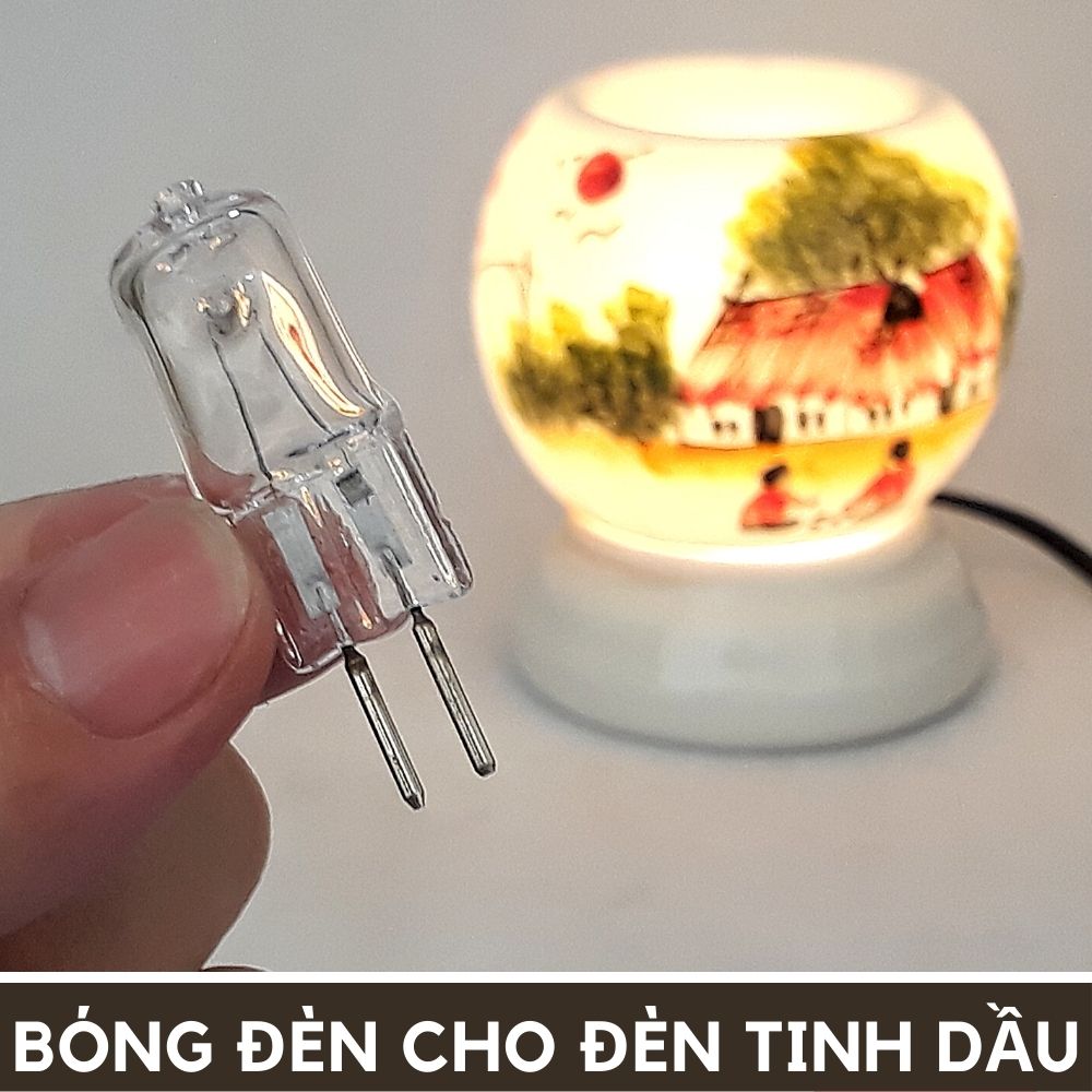 Bóng đèn dùng cho đèn xông tinh dầu (Chọn mua các số lượng khác nhau)