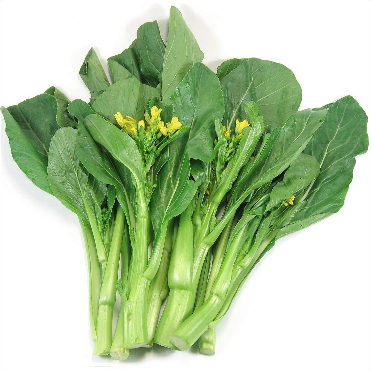Gói 20g hạt giống cải ngồng Nanuseeds