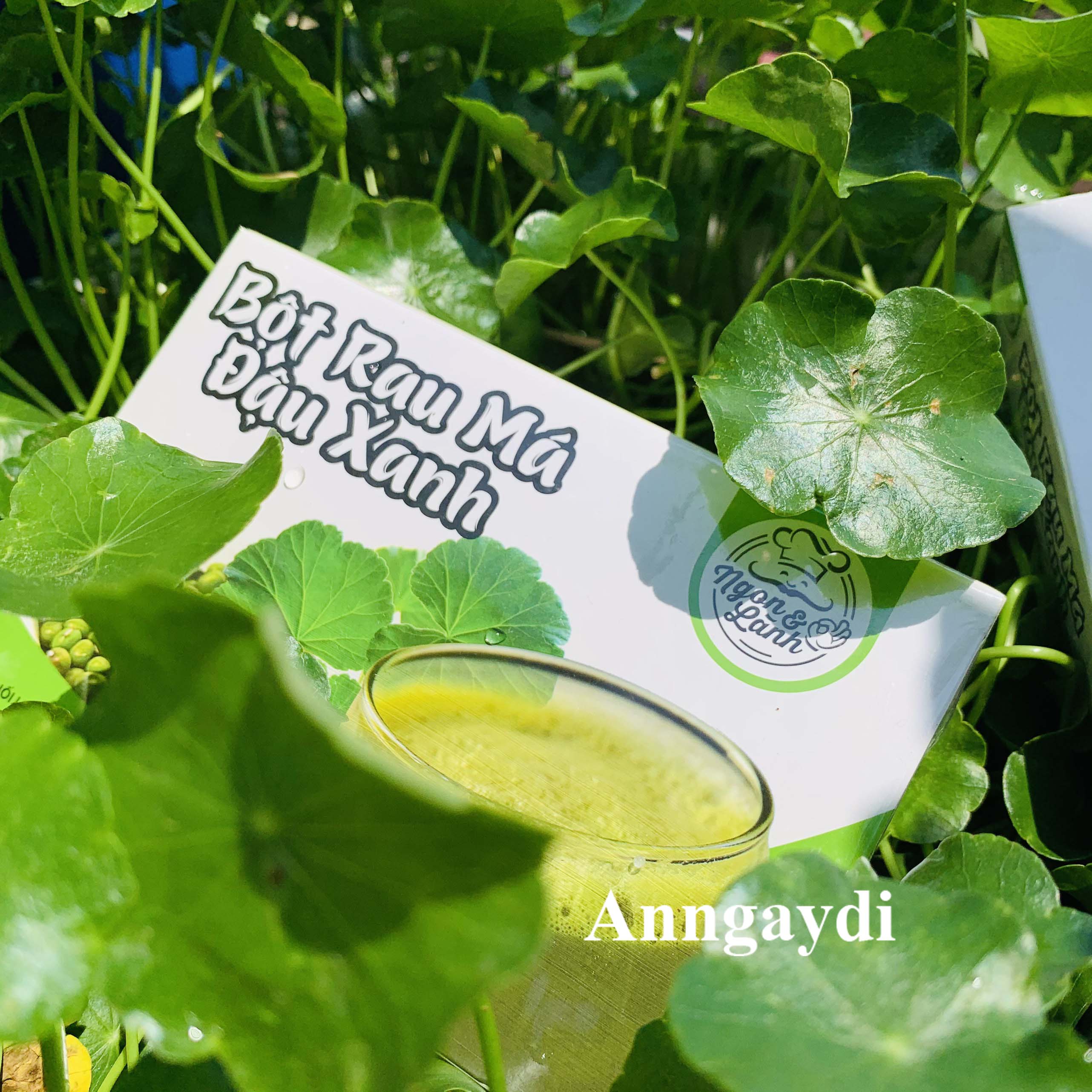 Bột Rau Má Đậu Xanh Ngon&Lành 170g (17g x 10 gói)