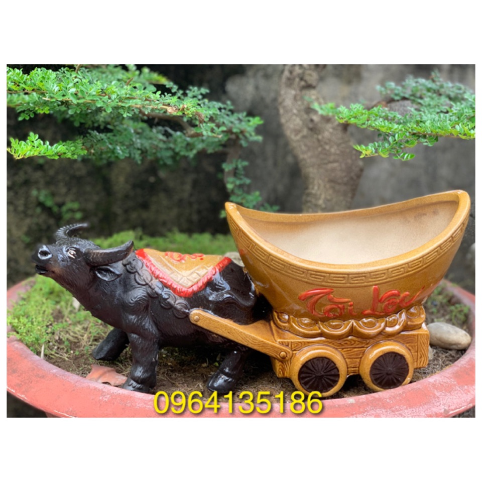Tượng tiểu cảnh Trâu tài lộc d50cm kéo chậu trồng cây gốm sứ Bát Tràng