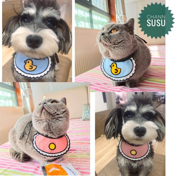 Vòng cổ - Yếm cổ hình dễ thương cho chó mèo thú cưng - Channsusu Pet Shop