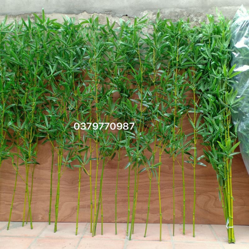 Set 20 cây trúc (tre) giả (giá tùy độ cao), cây trúc giả cây trúc quân tử