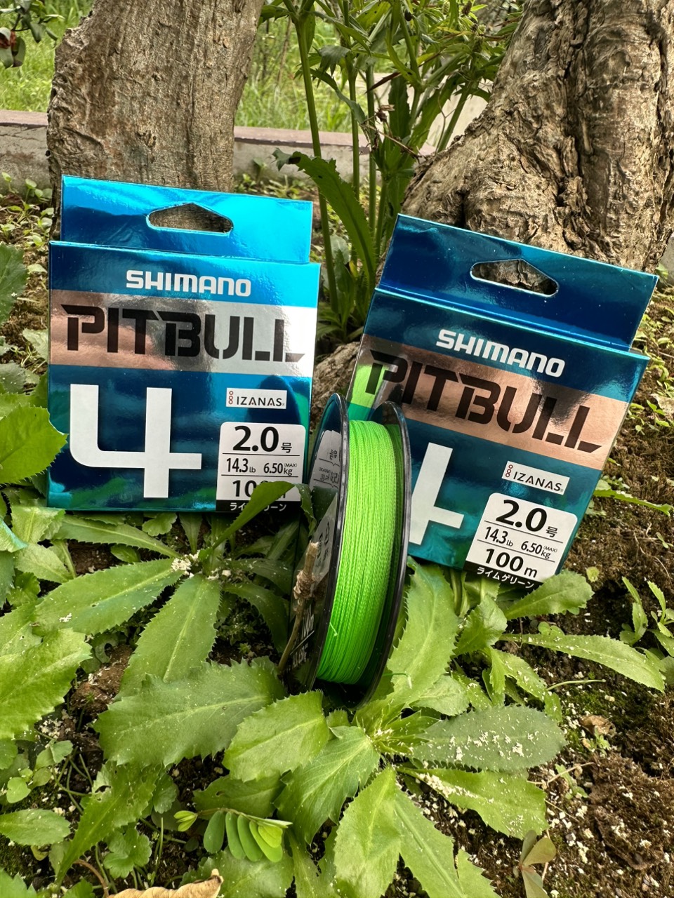 Dây dù câu cá pe shimano x8 100m -japan