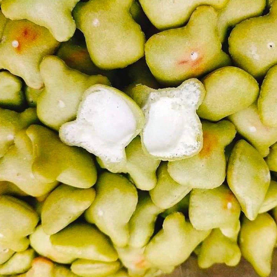 [HCM]Bánh gấu chùm ngây nhân kem 500gr