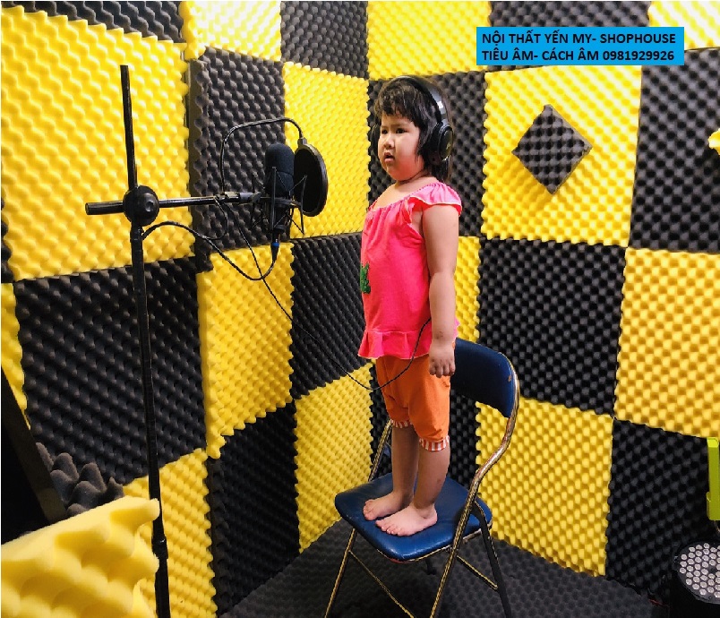 10 Tấm mút xốp Tiêu âm, Cách âm. Hình trứng.Kích cỡ 1 tấm 50*50cm dày 3cm( Được chọn màu theo ý )