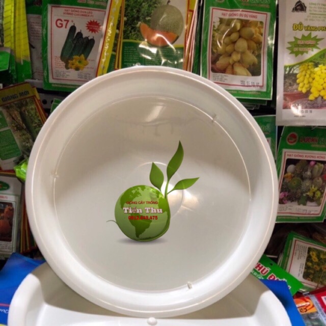 Đĩa lót chậu cây cảnh phi 23