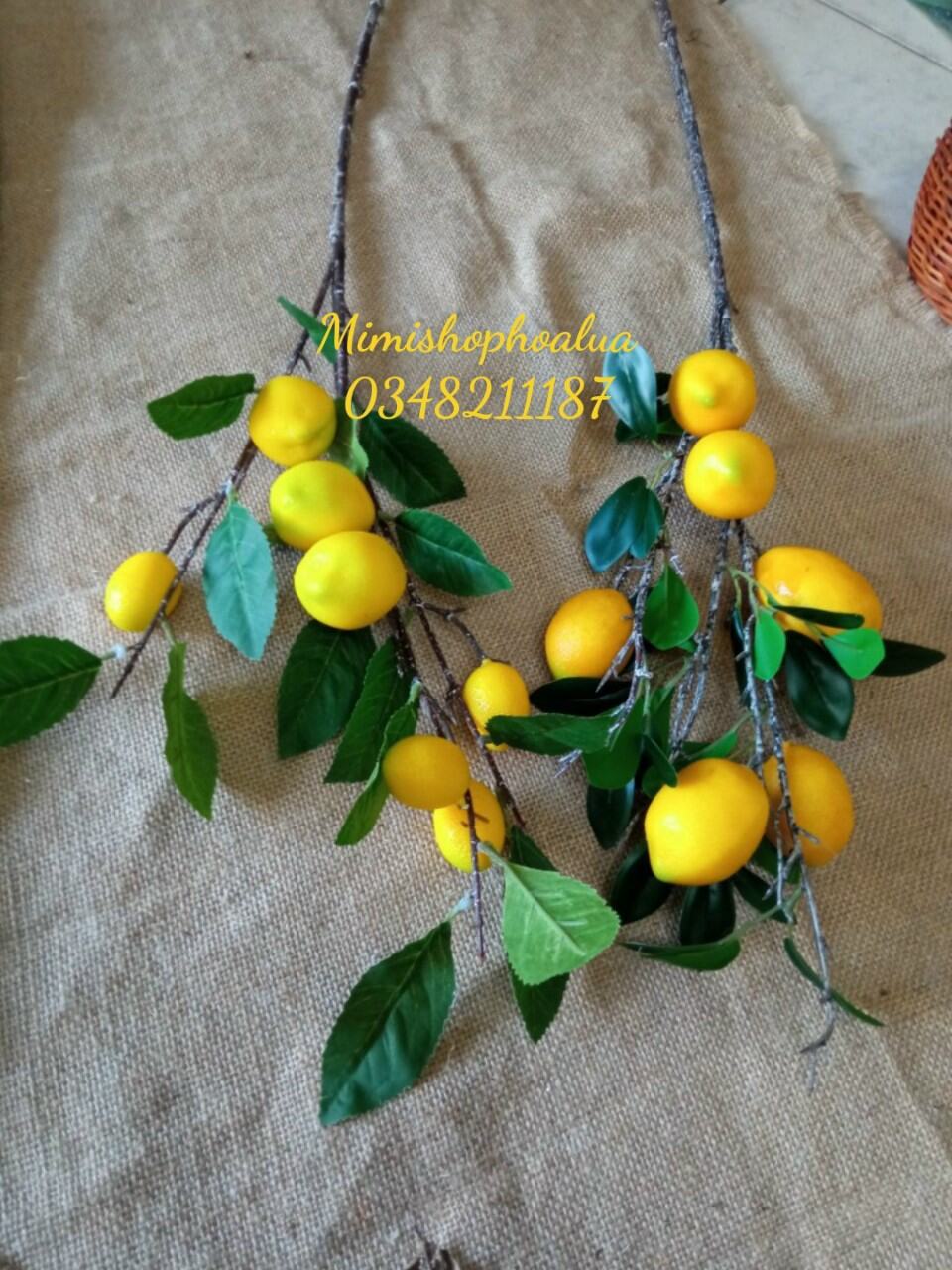 Cành quả chanh giả trang trí