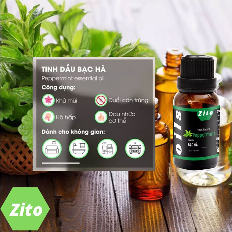 Tinh dầu bạc hà Peppermint Zito 10ml