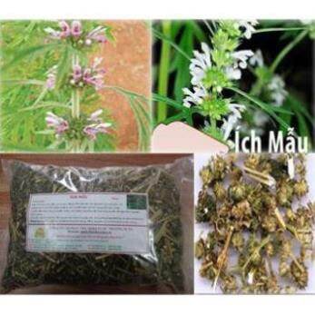 500gr cây ich mẫu khô hàng loại 1.