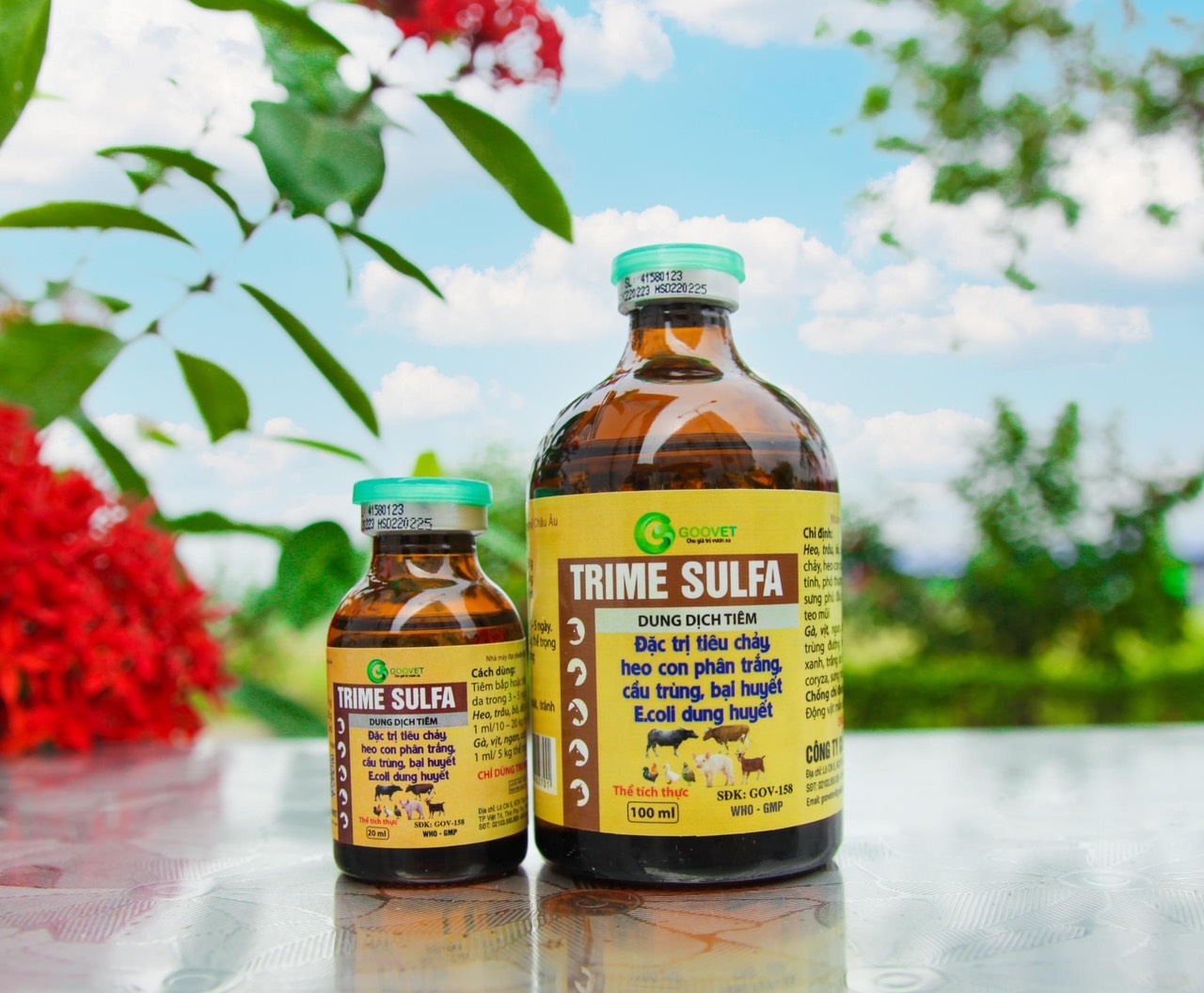 Tiêu chảy nặng trên động vật TRIME SULFA ỉa chảy phân trắng, cầu trùng, bại huyết Ecoli dung huyết, 