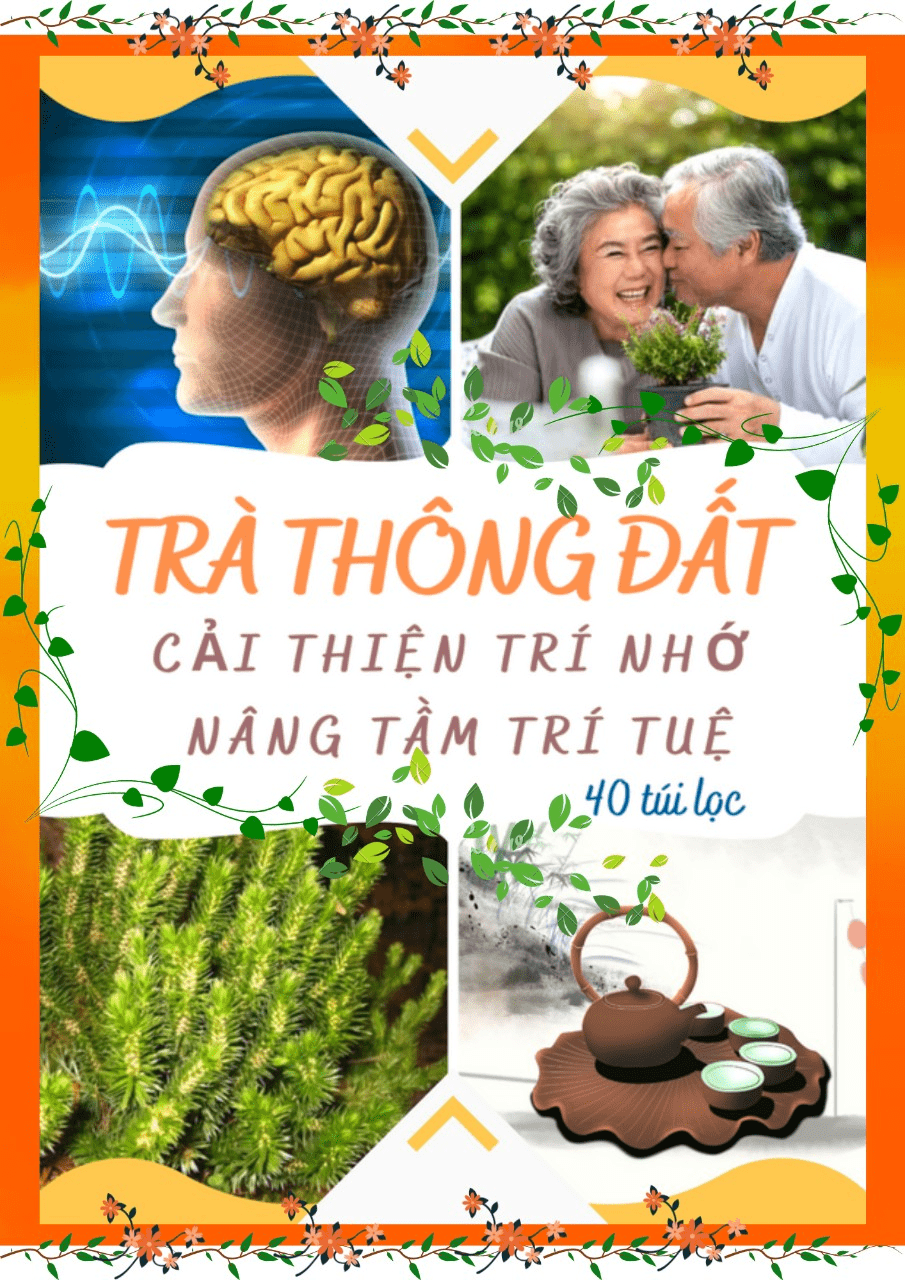 Trà túi lọc thông đất - cải thiện trí nhớ, hỗ trợ cải thiện alzheimer - 40 túi lọc, trà đông y việt