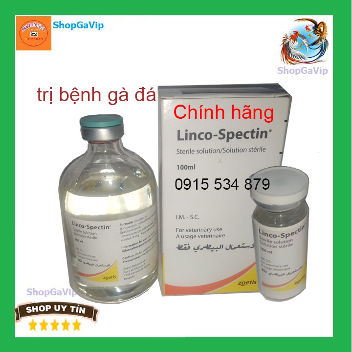 Linco Spectin lọ 10ml Thái  Hàng nhập khẩu Zoetis cho gà đá Khò khè, phân xấu [SHopGaVip]