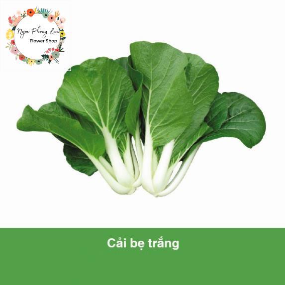Hạt giống cải bẹ trắng - gói 20 gram