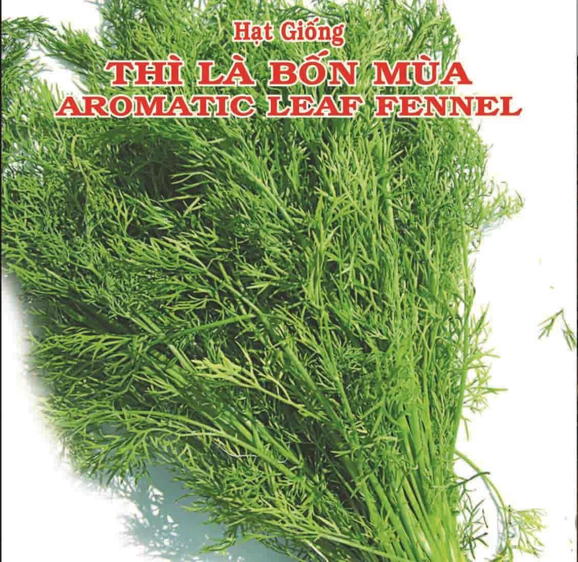 [HCM]THÌ LÀ BỐN MÙA PHÚ NÔNG _GÓI 5GRAM  CHẤT LƯỢNG CAO .