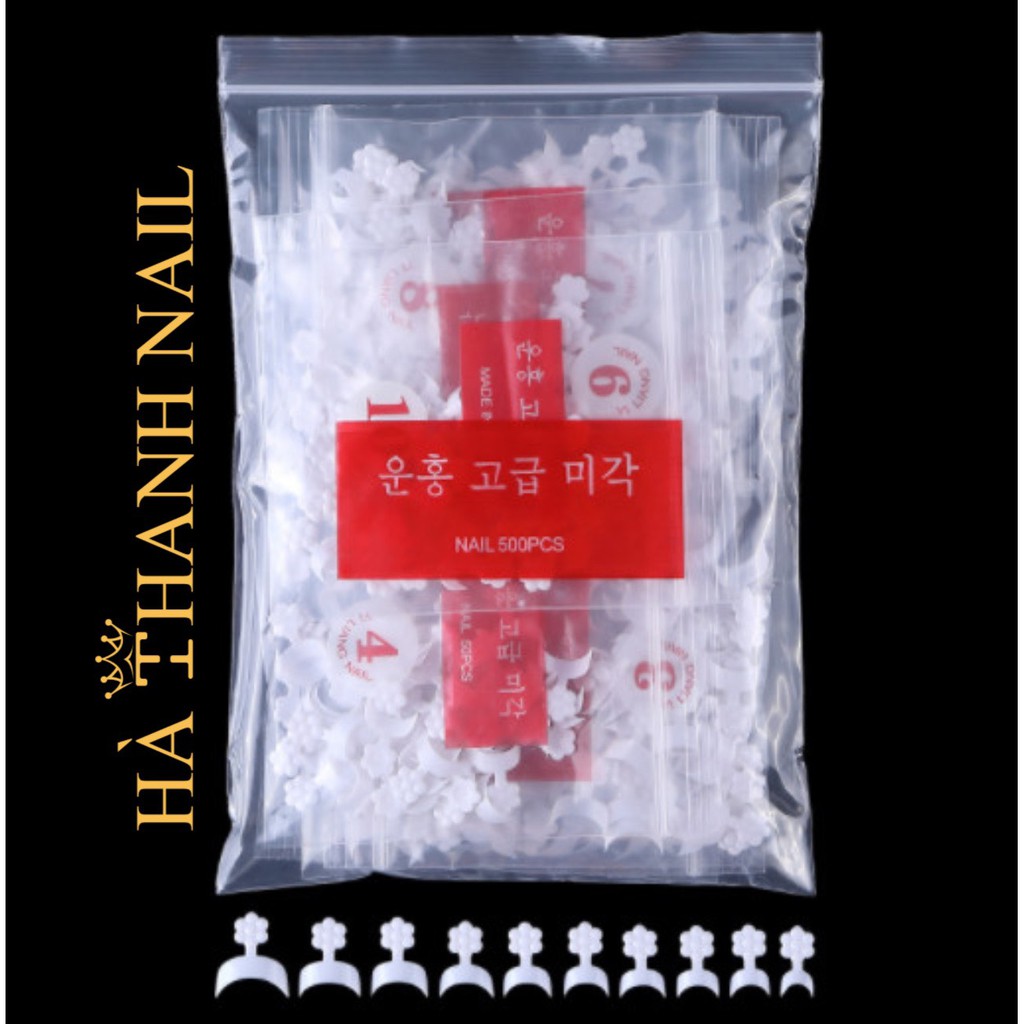 Móng Fen Đầu Móng Trắng