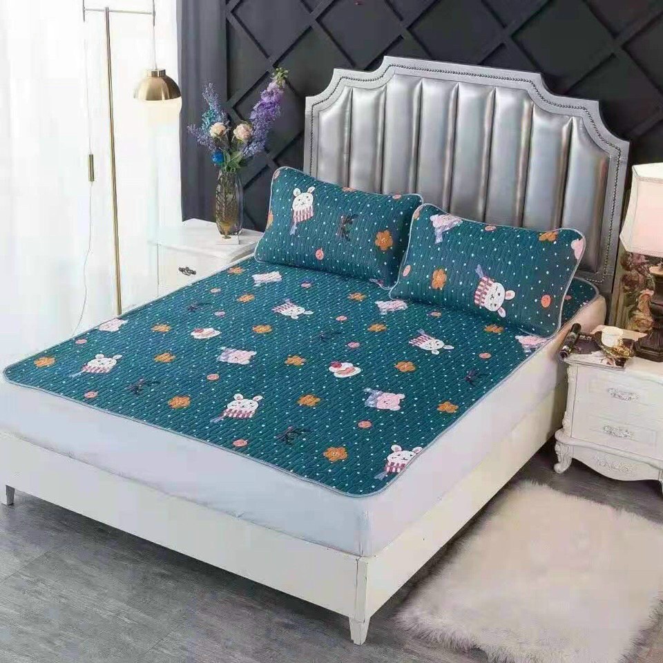 Chiếu điều hòa cao su non loại 1m6 các mẫu hình ảnh 3D dày đẹp tặng kèm 2 vỏ áo gối