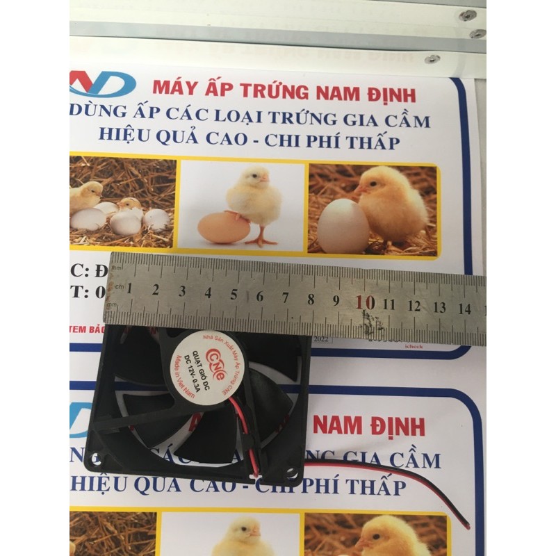 Quạt máy máy ấp trứng 8x8