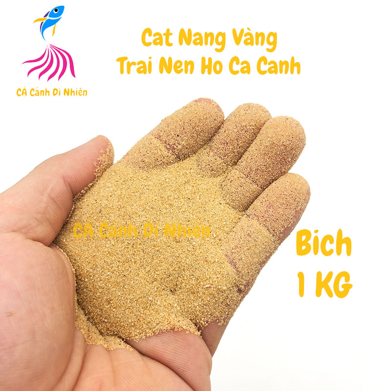 Cát nắng vàng hạt mịn 1Kg trải nền trang trí hồ cá cảnh thủy sinh