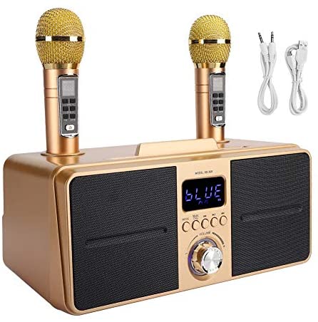 Loa hát karaoke bluetooth sdrd sd 309 .loa công suất lớn, kèm 2 mic không dây , hàng cao cấp .